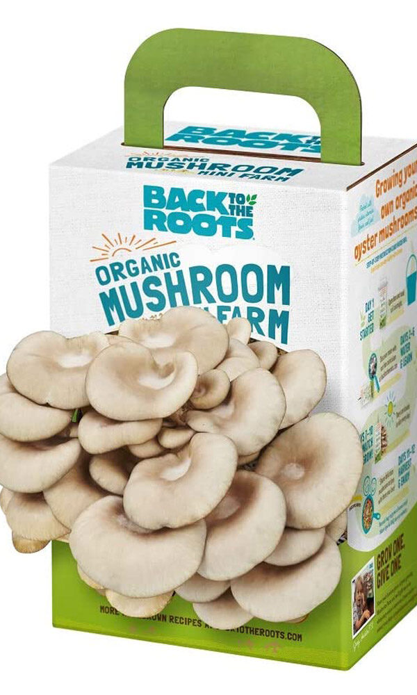 Back to the Roots Organic Mini Mushroom Grow Kit